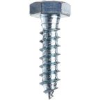 1/2" X 10" Lag Screw